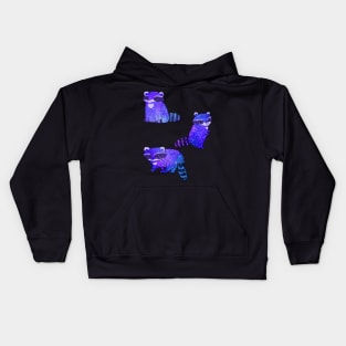 Space raccoons Kids Hoodie